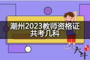 潮州2023教师资格证共考几科？