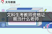 文科生考教师资格证能当什么老师？