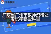 广东省广州市教师资格证考试考哪些科目？