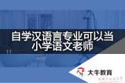 自学汉语言专业可以当小学语文老师？