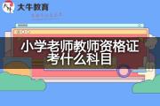 小学老师教师资格证考什么科目？