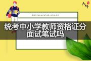 统考中小学教师资格证分面试笔试吗？