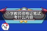 小学教师资格证笔试考什么内容？