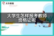 大学生怎样报考教师资格证呢？