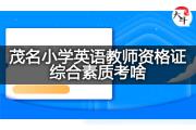 茂名小学英语教师资格证综合素质考啥？