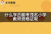 什么学历能考茂名小学教师资格证呢？