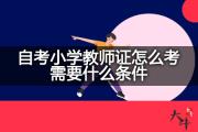自考小学教师证怎么考需要什么条件？