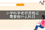 小学科学老师资格证需要报什么科目？