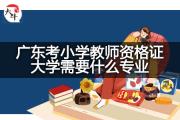 广东考小学教师资格证大学需要什么专业？