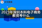 2023年深圳本科电子商务教资考什么？