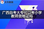 广西自考大专可以考小学教师资格证吗？