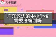 广东这边的中小学校需要考编制吗？