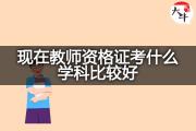 现在教师资格证考什么学科比较好？