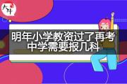明年小学教资过了再考中学需要报几科？