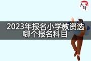 2023年报名小学教资选哪个报名科目？