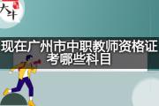 现在广州市中职教师资格证考哪些科目？