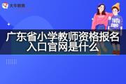 广东省小学教师资格报名入口官网是什么？