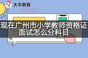 现在广州市小学教师资格证面试怎么分科目？