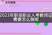 2023年职场职业人考教师证需要怎么做呢？