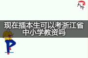 现在插本生可以考浙江省中小学教资吗？