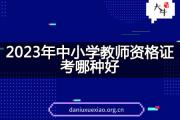 2023年中小学教师资格证考哪种好？