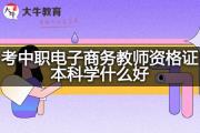 考中职电子商务教师资格证本科学什么好？