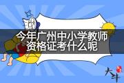 今年广州中小学教师资格证考什么呢？