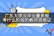 广东大学没毕业最多报考什么阶段的教师资格证？