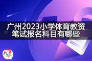 广州2023小学体育教资笔试报名科目有哪些？