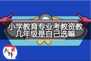 小学教育专业考教资教几年级是自己选嘛？