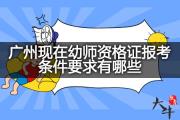 广州现在幼师资格证报考条件要求有哪些？