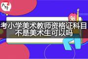 考小学美术教师资格证科目不是美术生可以吗？