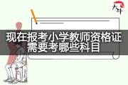 现在报考小学教师资格证需要考哪些科目？