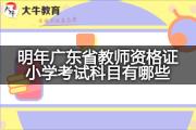 明年广东省教师资格证小学考试科目有哪些？