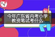 今年广东省内考小学教资笔试考什么？