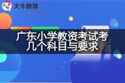 广东小学教资考试考几个科目与要求？