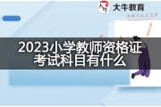 2023小学教师资格证考试科目有什么？