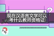 现在汉语言文学可以考什么教师资格证？