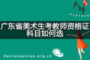 广东省美术生考教师资格证科目如何选？