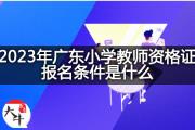 2023年广东小学教师资格证报名条件是什么？