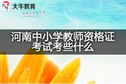 河南中小学教师资格证考试考些什么？