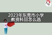 2023年东莞市小学教资科目怎么选？