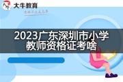 2023广东深圳市小学教师资格证考啥？