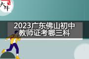 2023广东佛山初中教师证考哪三科？
