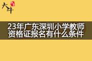 23年广东深圳小学教师资格证报名有什么条件？