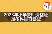 2023年小学教师资格证报考科目有哪些？