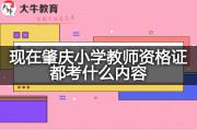 现在肇庆小学教师资格证都考什么内容？