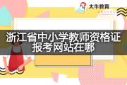 浙江省中小学教师资格证报考网站在哪？