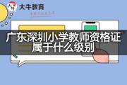 广东深圳小学教师资格证属于什么级别？