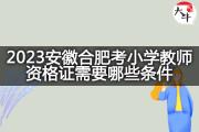2023安徽合肥考小学教师资格证需要哪些条件？